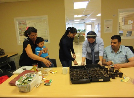 The Oliver LINC class planting tomato seeds and getting ready to go to the Community Garden. We learned about starting seeds and different types of potting soil.